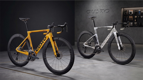 Gusto Cobra EVO vs GTR: feeling diretto o progetto moderno?
