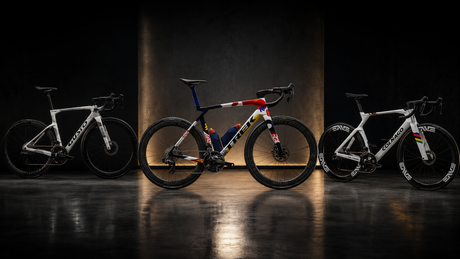 Gusto, Trek o Colnago: marchio cinese di qualità o marchio premium storico?