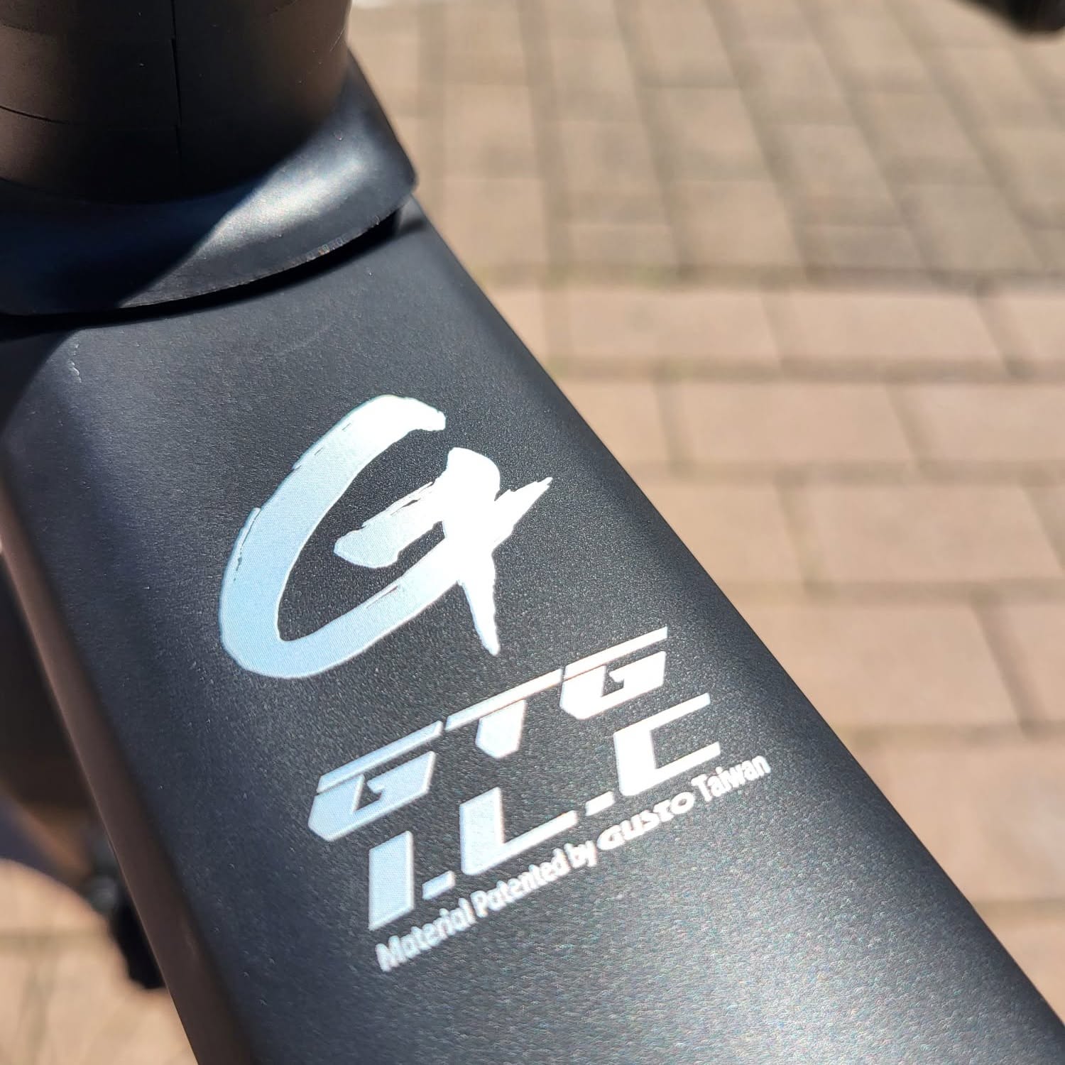 Dettaglio logo Gusto GTG IL-C sul telaio